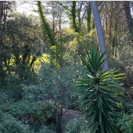 Valescure Raphael * Saint-Raphaël