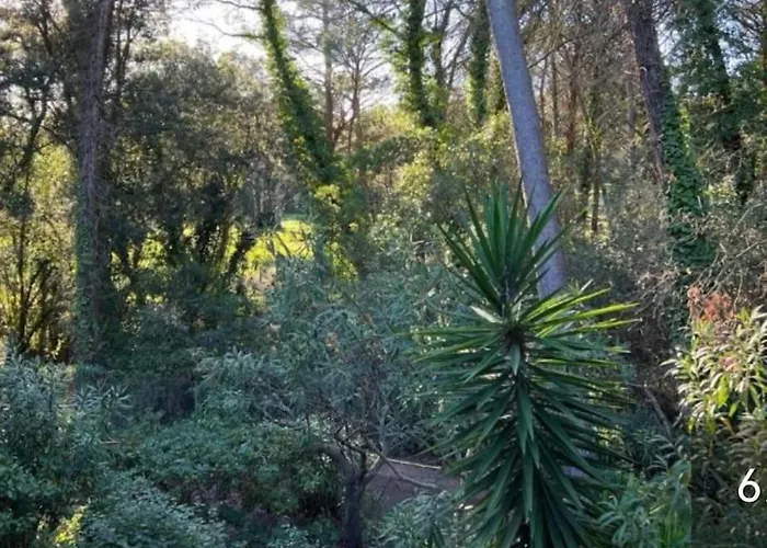 Valescure Raphael * Saint-Raphaël